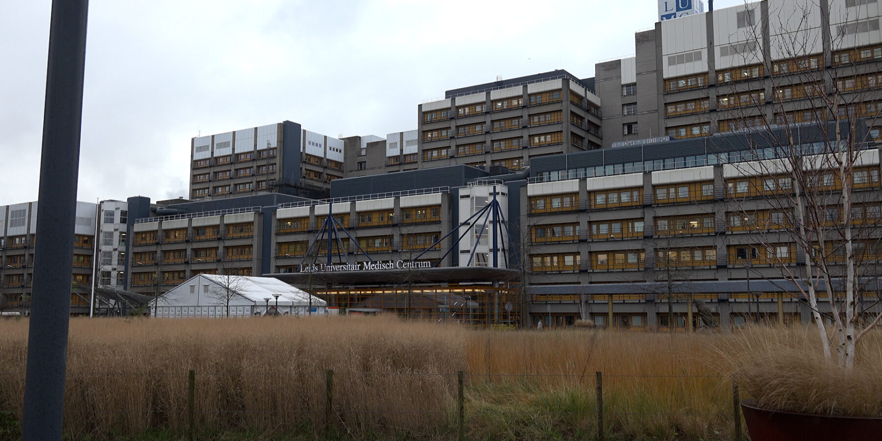 Passagiers van schip met hantavirus geëvacueerd