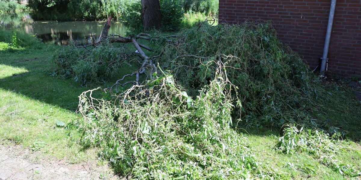 Afgebroken tak Bufferkade Leiden