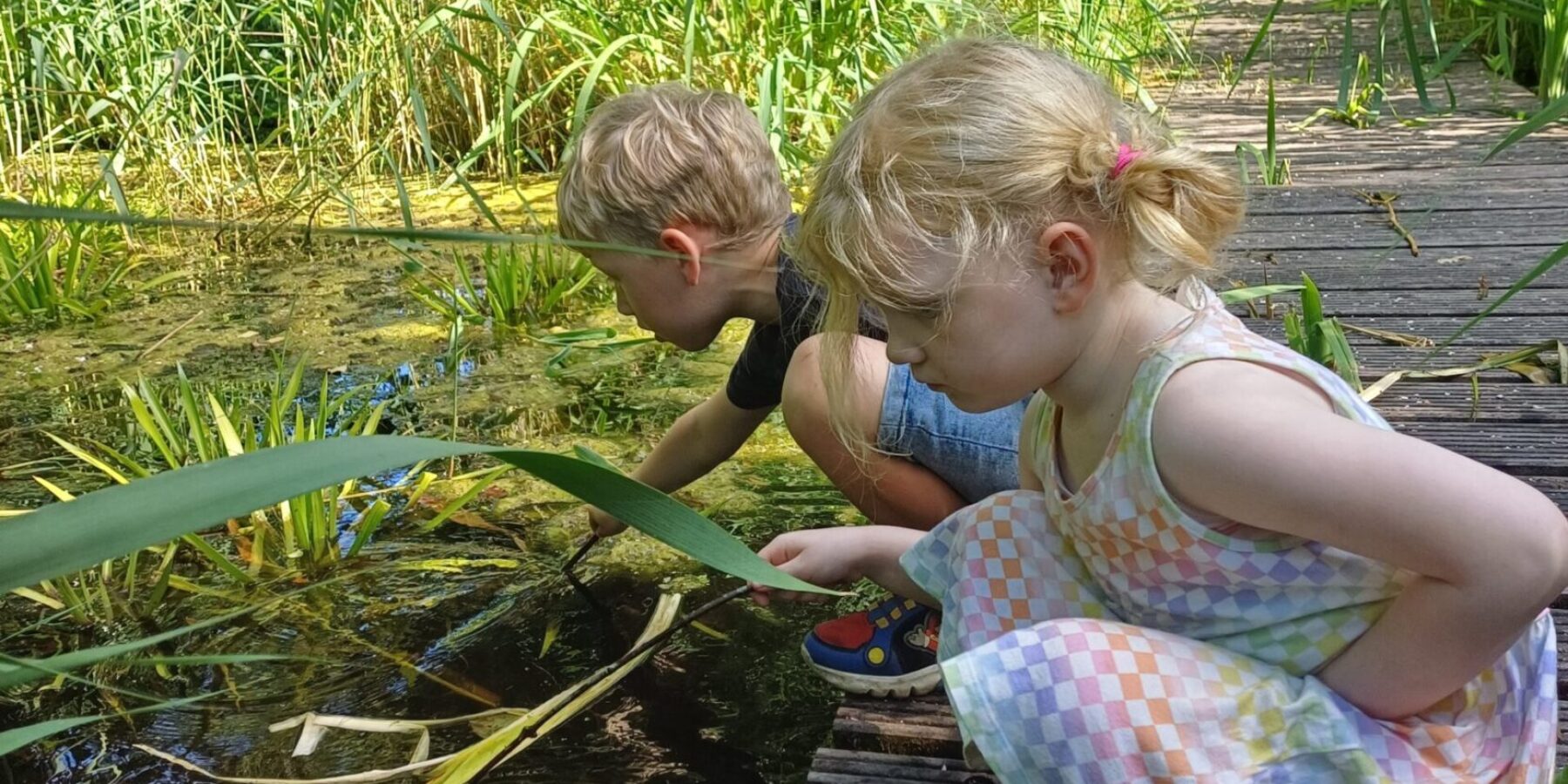 Kinderen op excursie langs de sloot in Voorschoten.