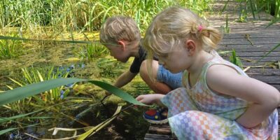 Kinderen op excursie langs de sloot in Voorschoten.