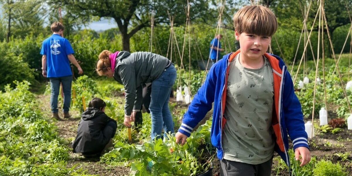 100 jaar schooltuinen in Leiden: 'Ik dacht dat wortels in een week groeiden'