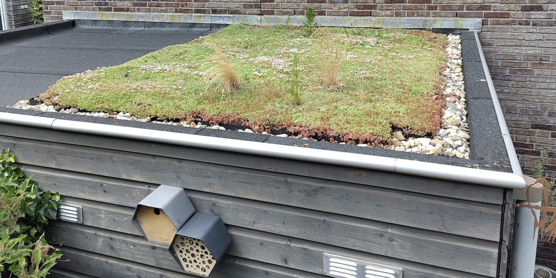 Subsidieregeling Groene daken krijgt vervolg