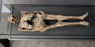 Het geheim van de Leidse luchtmummie