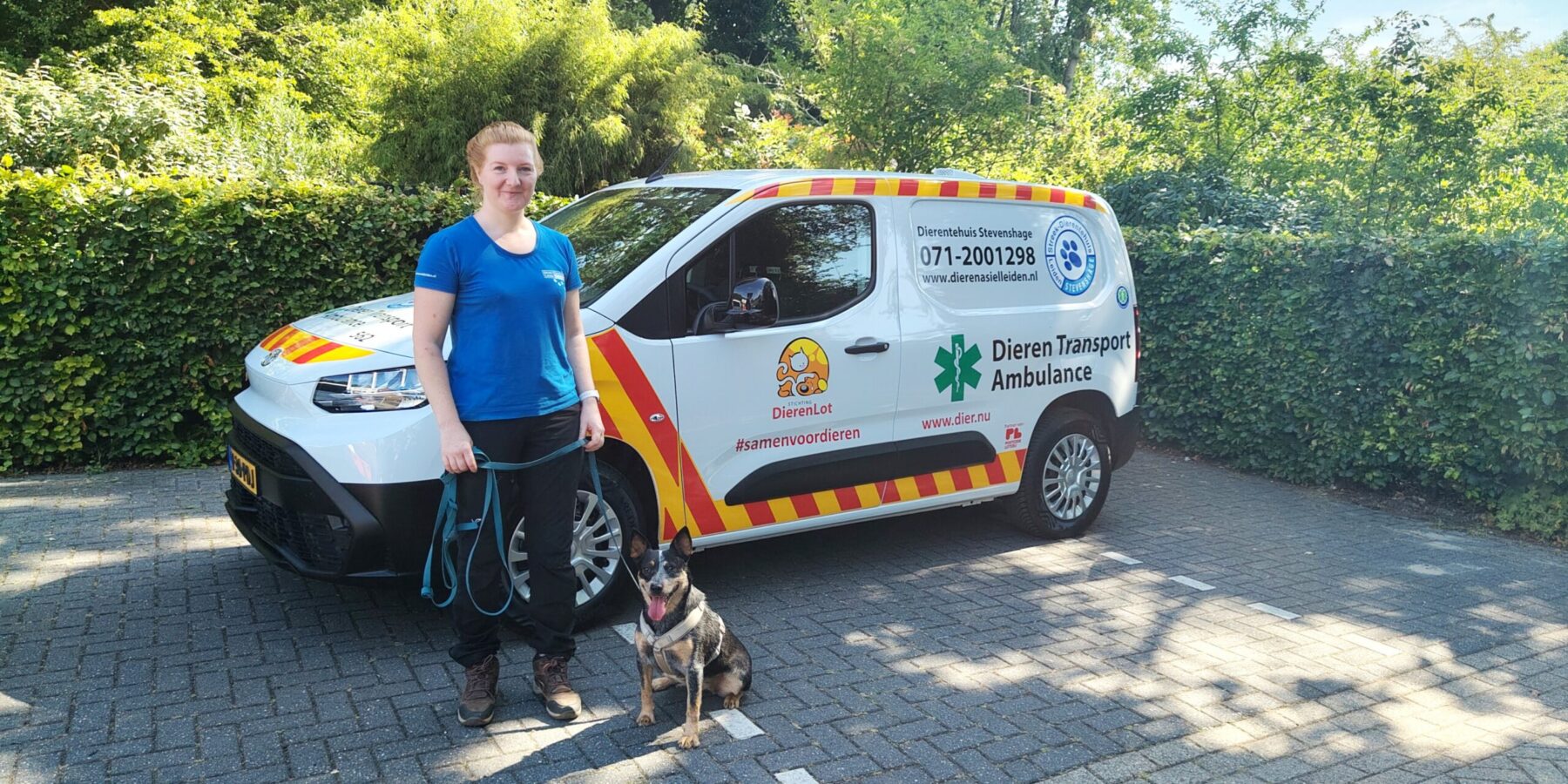 elektrische dierenbus veilig vervoer asieldieren