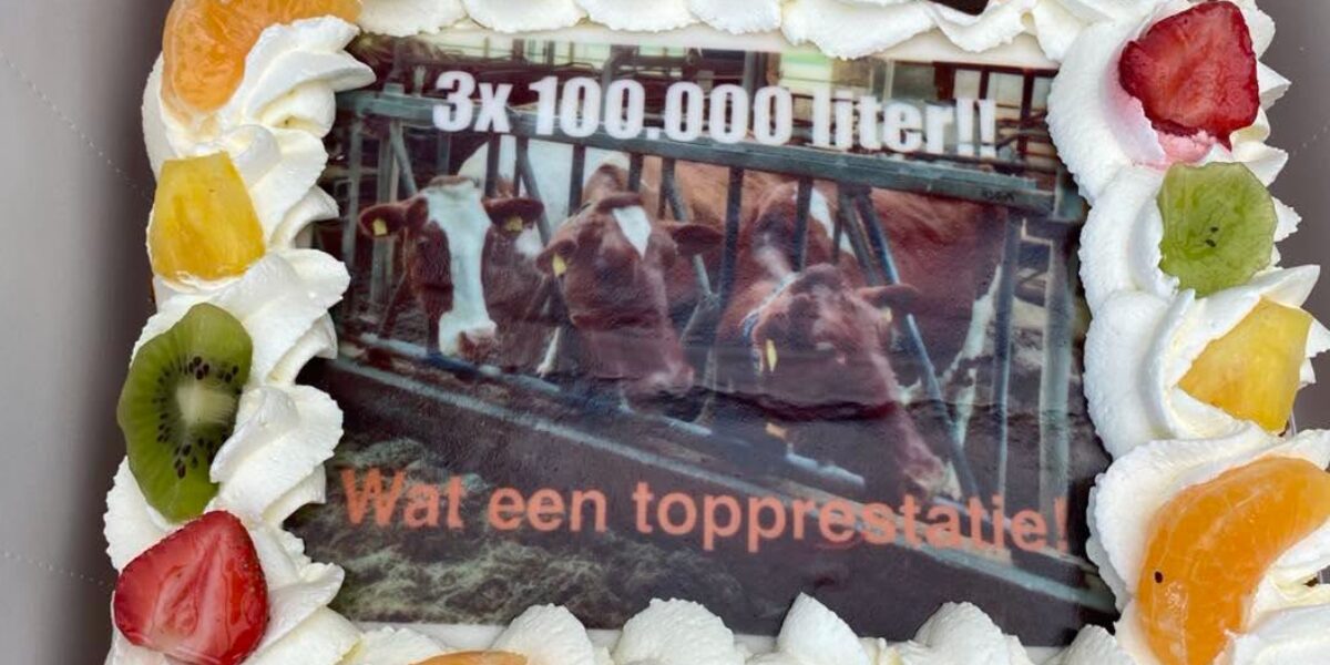Drie Zoeterwoudse koeien bereiken mijlpaal: 100.000 liter melk