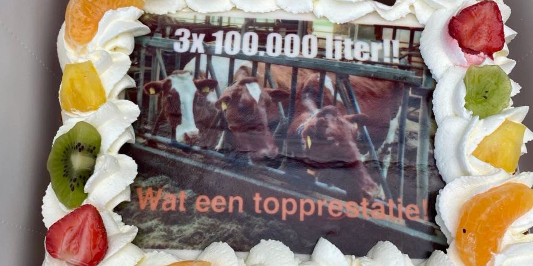 Zoeterwoudse koeien bereiken mijlpaal 100.000 liter melk