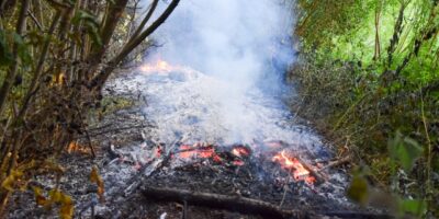 Groenstrook in brand bij Park de Houtkamp in Leiderdorp.