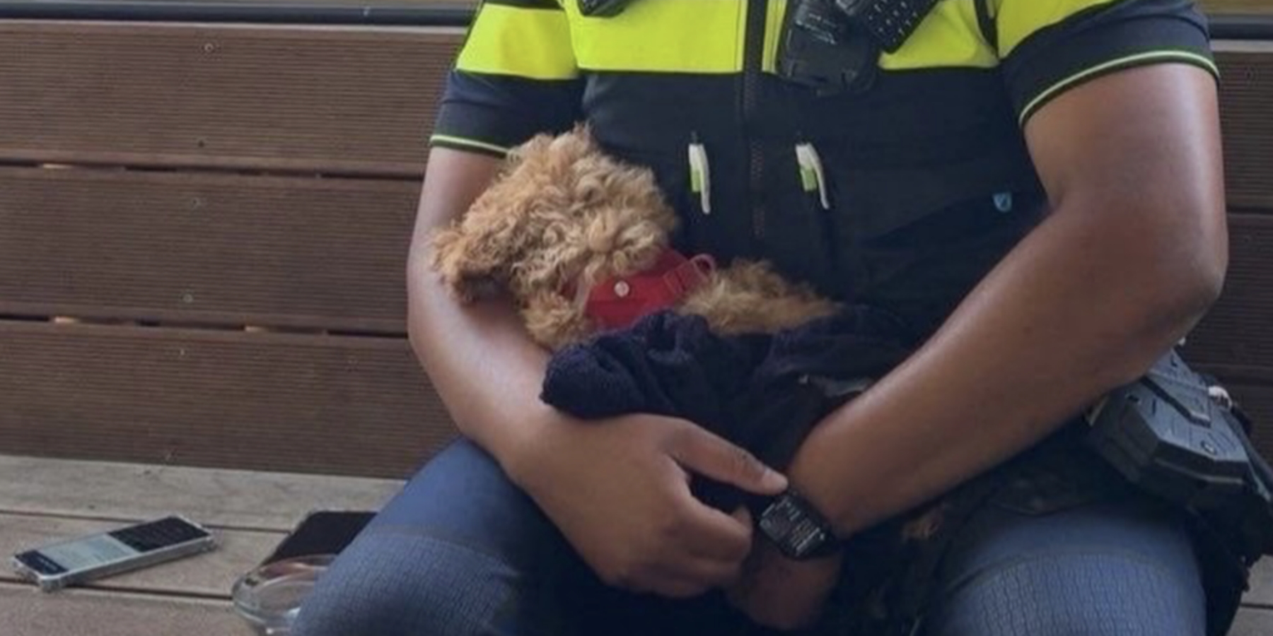 De verwaarloosde hond in Wassenaar op schoot bij de politieagent.