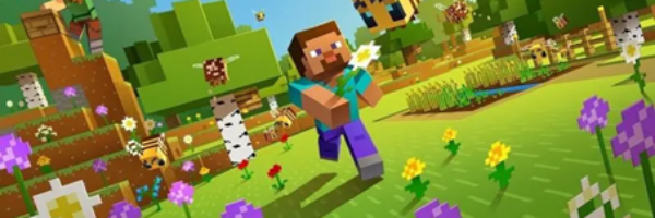 Een afbeelding van Minecraft.