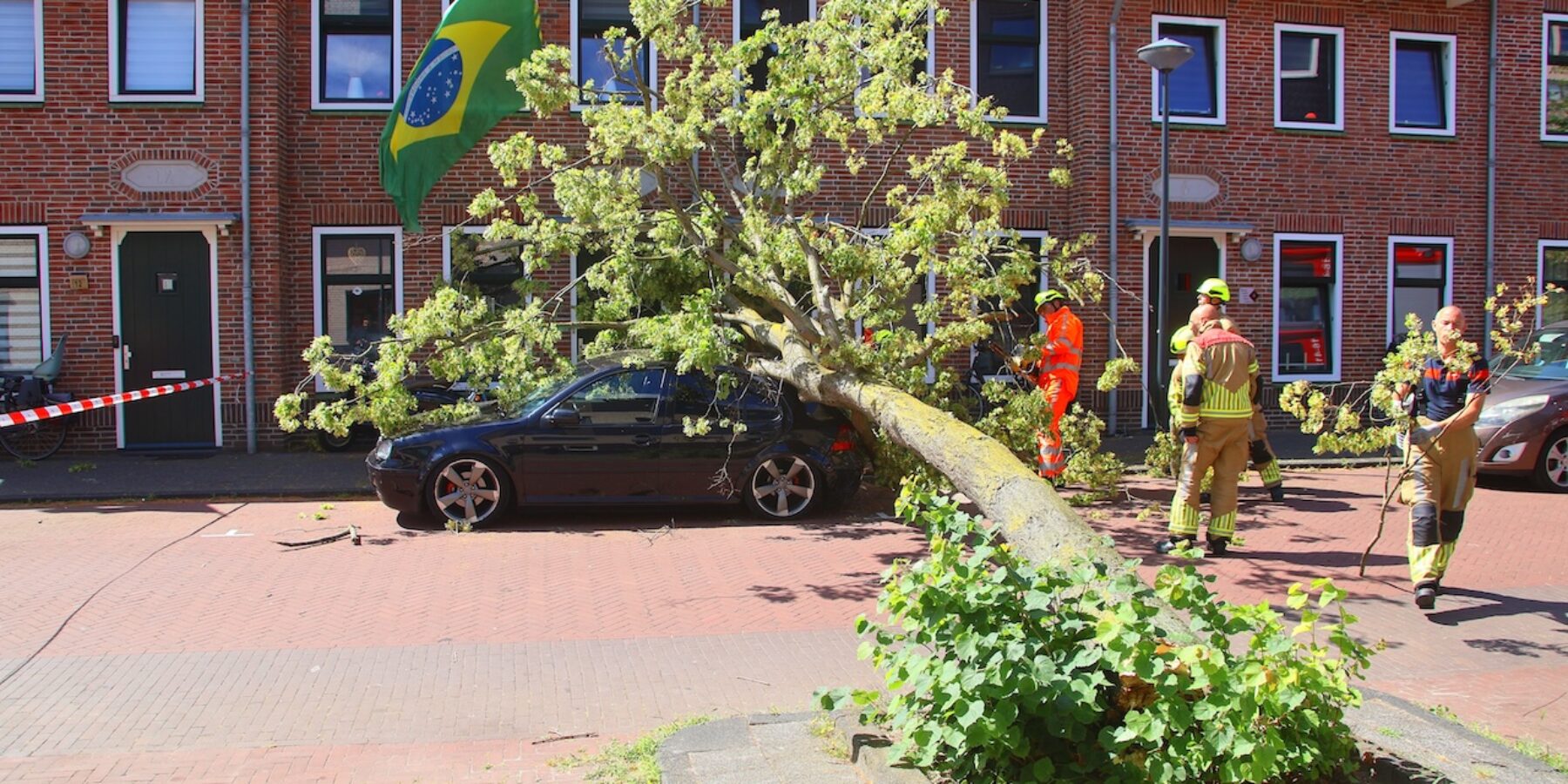 De omgevallen boom in de Timorstraat in Leiden. De boom kwam op een auto en tegen een huis.