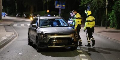 Ongeval door overstekende Egel op de Lange Kerkdam in Wassenaar. De achterste auto raakte flink beschadigd.