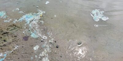 blauwalg actief in onze regio