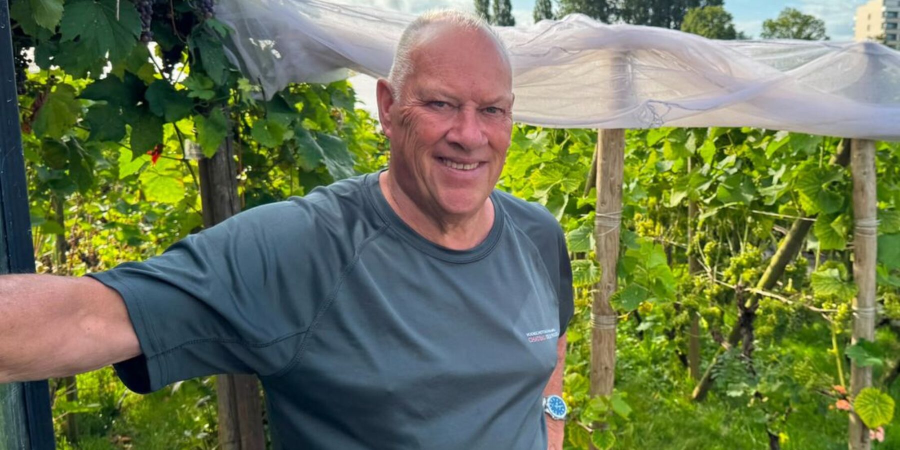 Goed wijnjaar op komst door droogte: 'Moet eigenlijk nog maandje zo blijven'