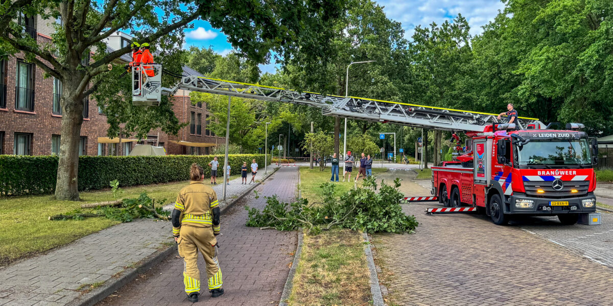 Brandweer verwijdert tak uit boom aan Elstlaan in Voorschoten