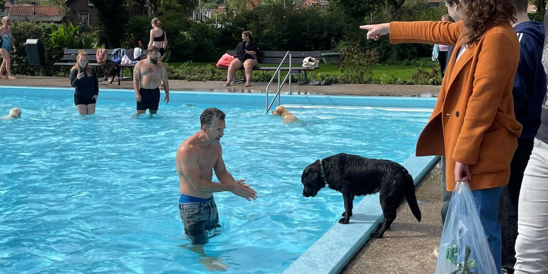 Zoeterwoude sluit zwemseizoen met hondenplons