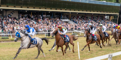 Paardenrennen met jockeys voor de tribune van Draf- & Renbaan Duindigt in Wassenaar