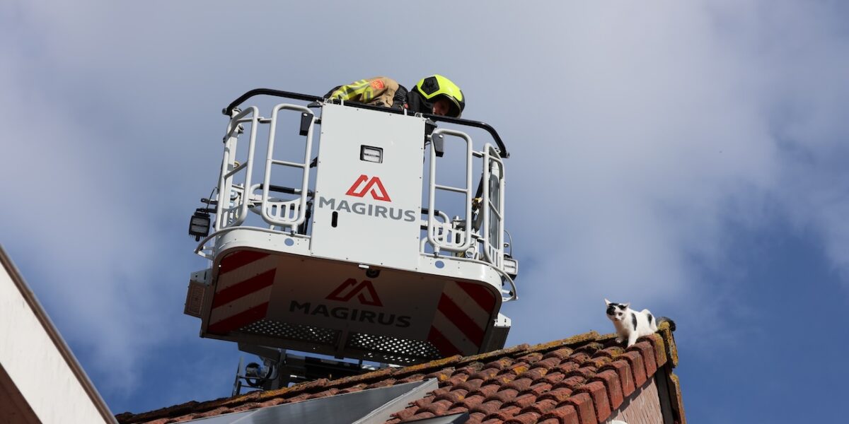 Kat valt van dak bij reddingspoging