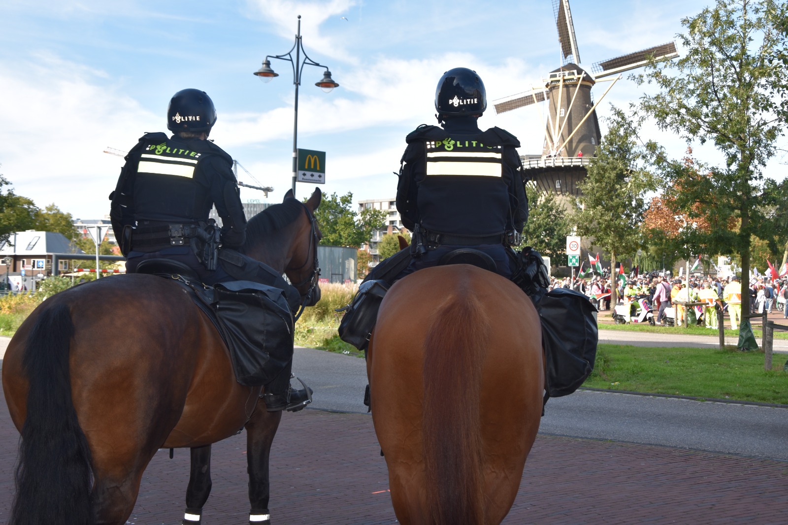 (Foto: Peter van Delft)