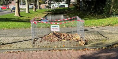 Bladkorven in Wassenaar