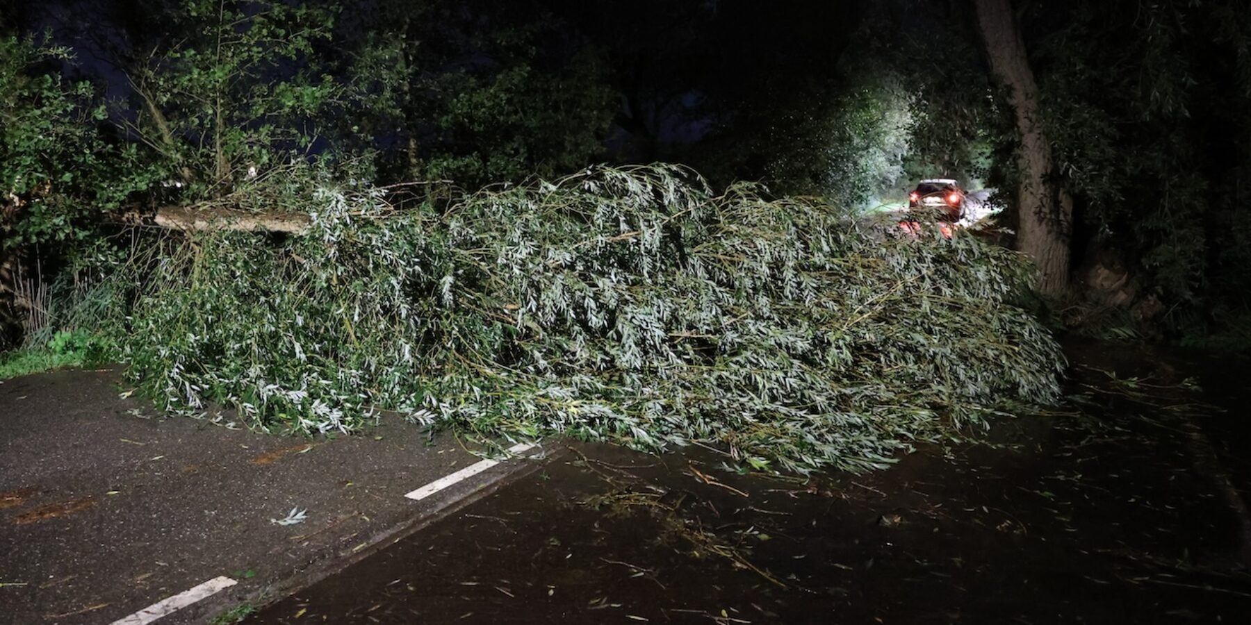 Omgewaaide boom blokkeert de Hogeboomseweg in Wassenaar.