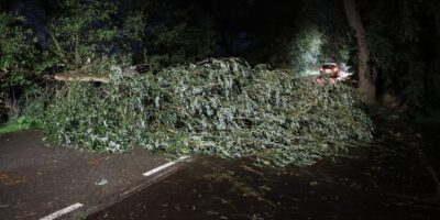 Omgewaaide boom blokkeert de Hogeboomseweg in Wassenaar.