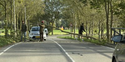 Boom op Achthovenerweg Leiderdorp (Foto: Regio15)