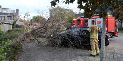 Boom valt op geparkeerde auto in Leiderdorp