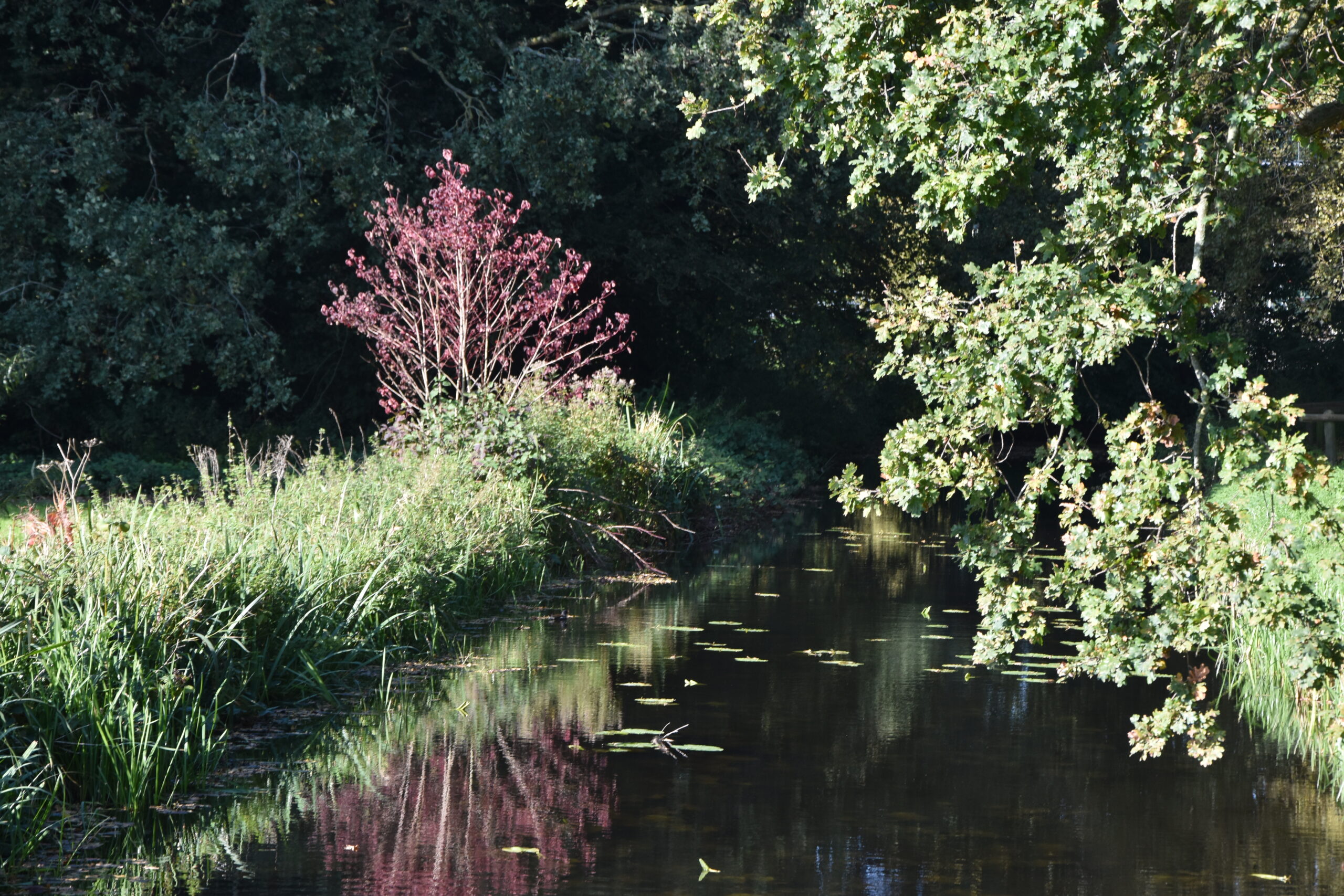 Foto: Peter van Delft