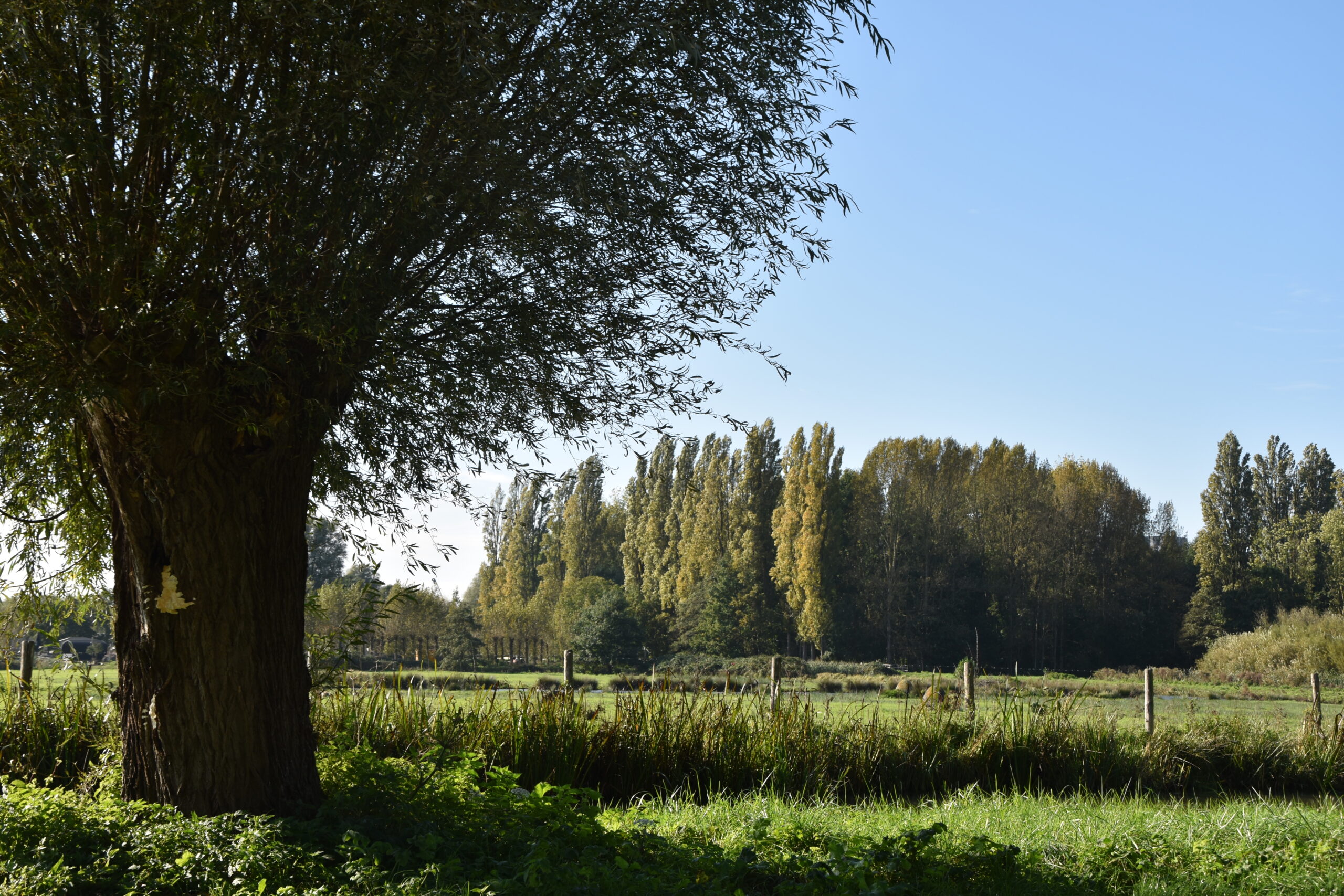 Foto: Peter van Delft