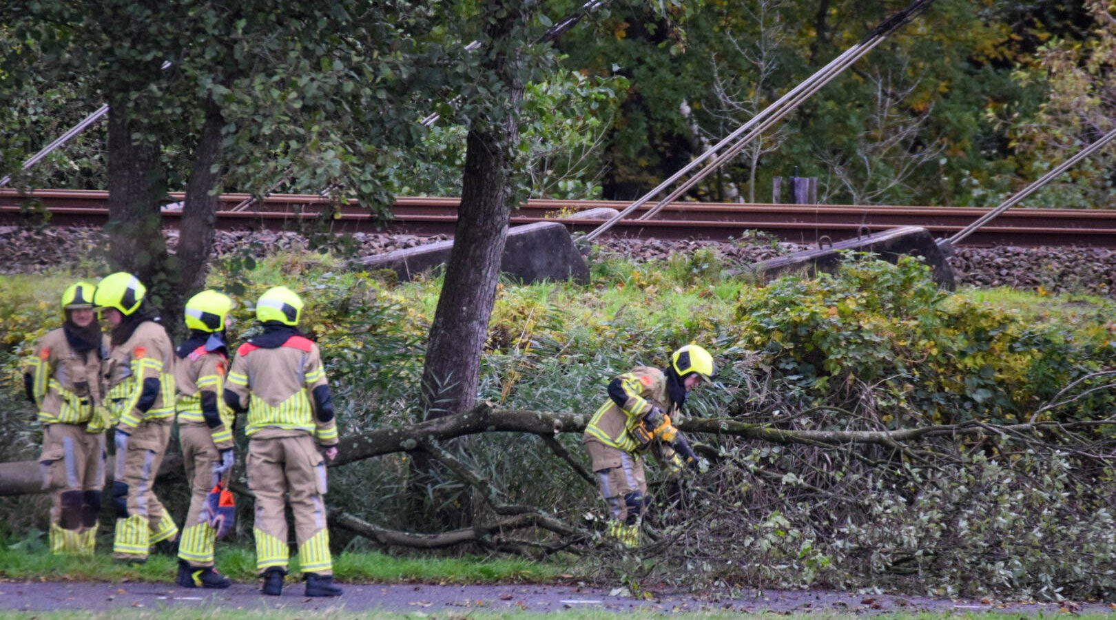 De brandweer is bezig met het wegwerken van de omgewaaide boom.
