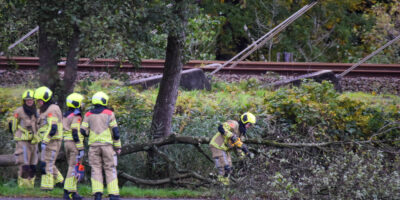 De brandweer is bezig met het wegwerken van de omgewaaide boom.