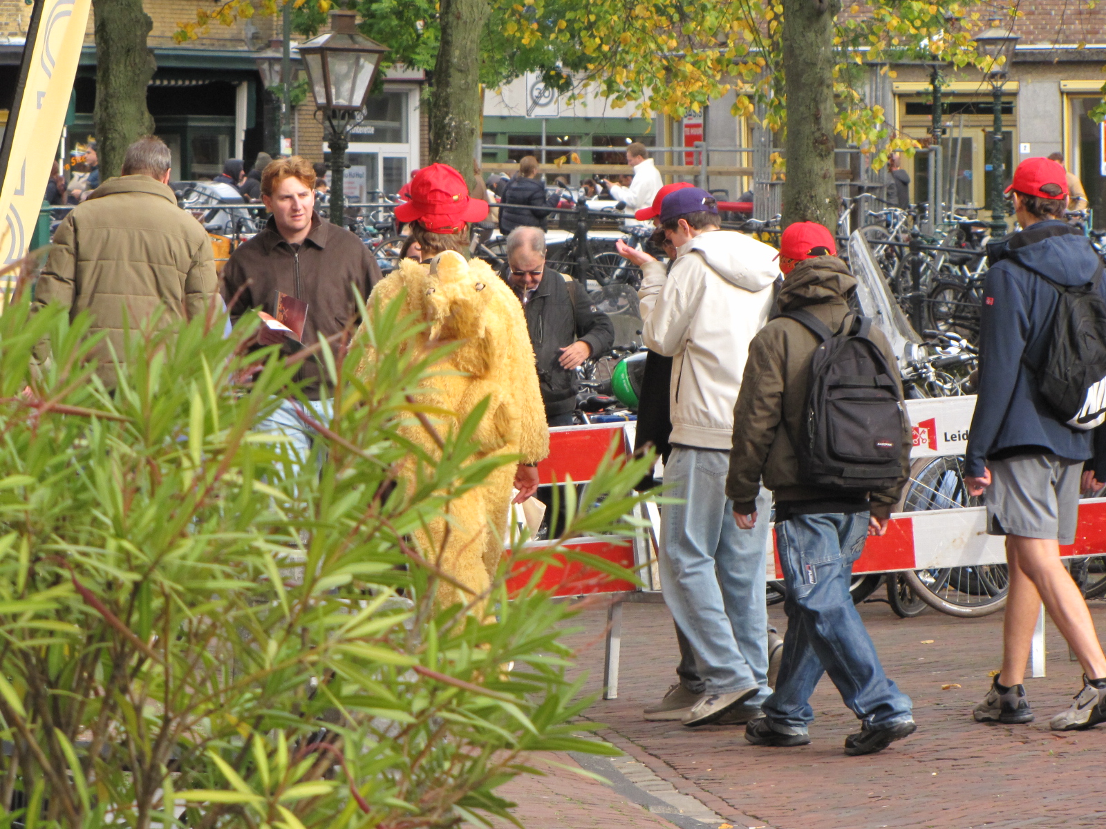 Kamelenpak, ook leuk. Zo te zien een winnaar: veel rode petten op. (Foto: Centraal+ / Paul Aalbers)