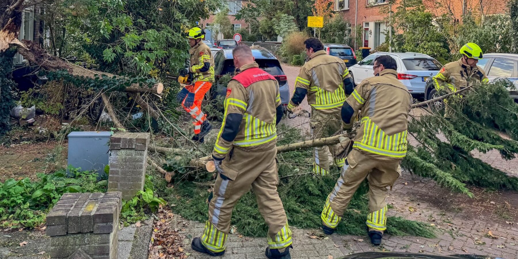 De brandweer werkt aan de afgebroken tak aan de Zuidhof in Zoeterwoude.