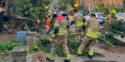 De brandweer werkt aan de afgebroken tak aan de Zuidhof in Zoeterwoude.