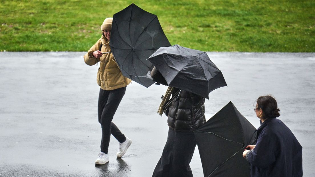 Mensen met een paraplu in de regen Foto ter illustratie (Foto ANP / via Omroep West)